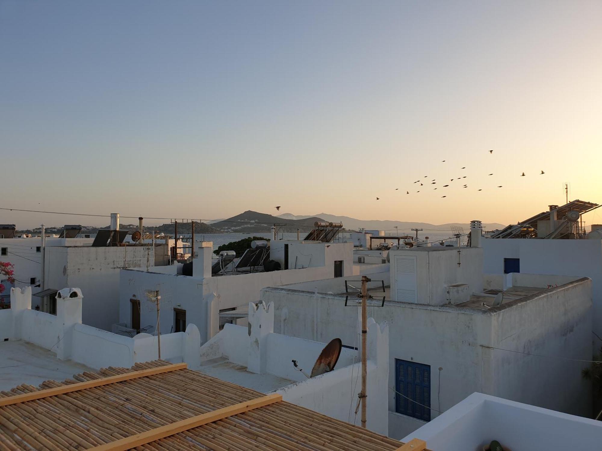 My Island Homes And Residence Naxos City Kamer foto